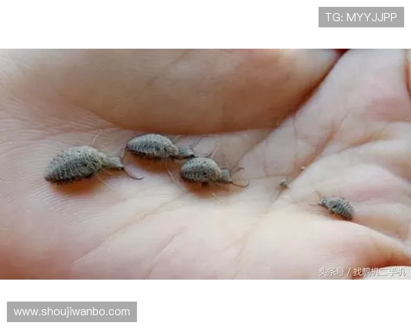 万博max官网入口安全可靠的登录入口，保障玩家个人信息与资金安全